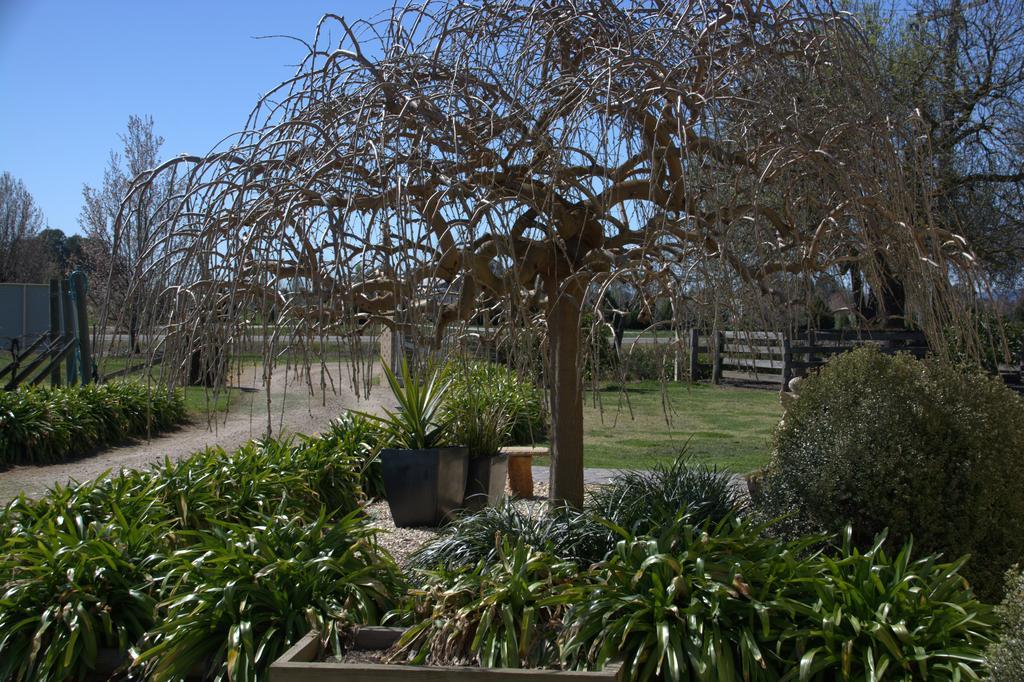 Milawa Muscat Retreat B&B エクステリア 写真