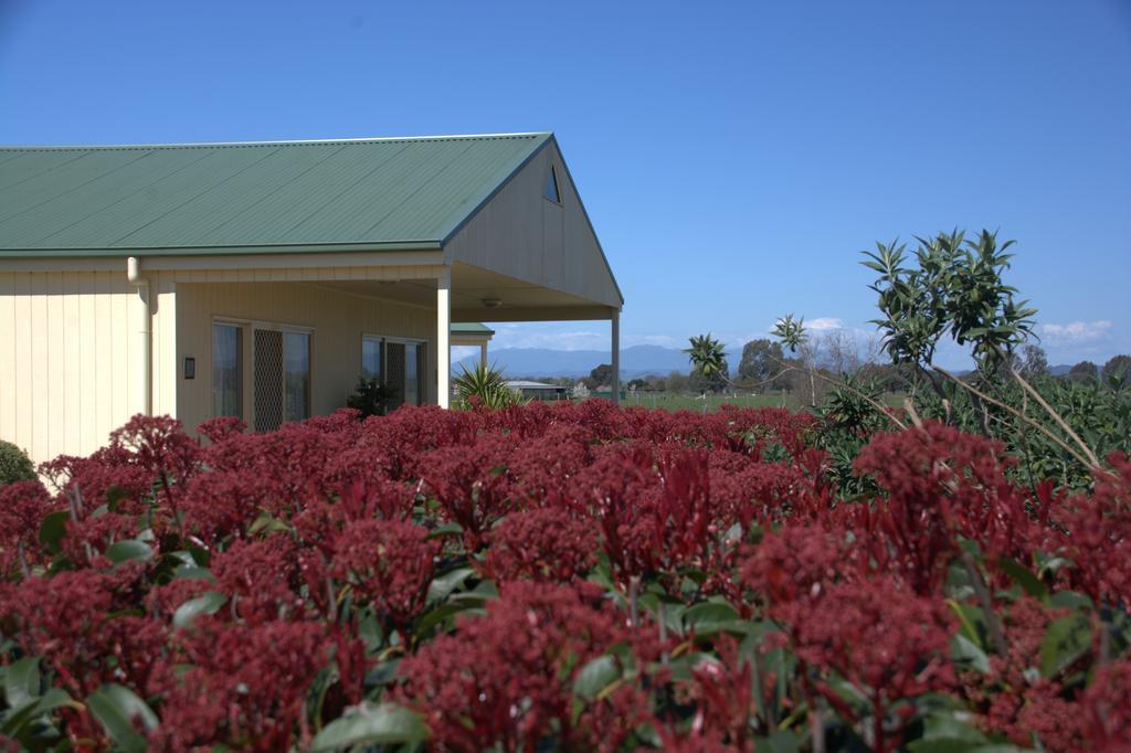 Milawa Muscat Retreat B&B エクステリア 写真